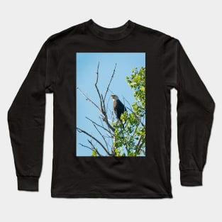 Bald Eagle Long Sleeve T-Shirt